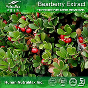 100%Nutramax Supplier -Bearberry Extract
