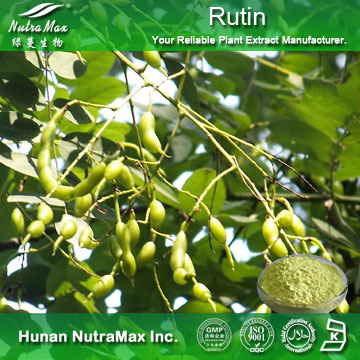 100%Nutramax Supplier - Rutin extract.Rutin 95%~99% 
