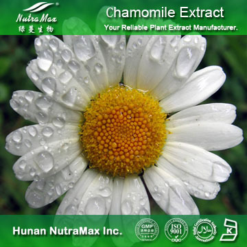 100%Nutramax Supplier - Chamomile ExtractApigenin 1.2%～98%