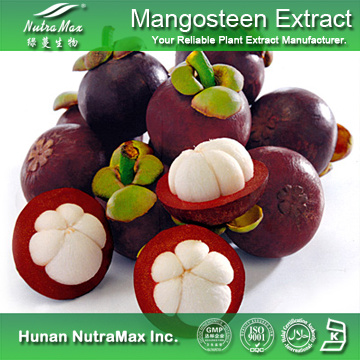 100%Nutramax Supplier -mangostana extract10%~90% 