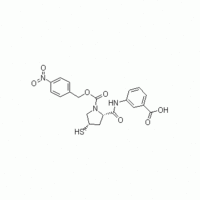 Side chain of ertapenem