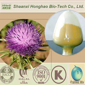 Natural Bulk Best Price 80% Silymarin/Milk Thistle Extract