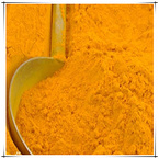 Best Price&Top Quality Food Supplement Curcumin Extract 