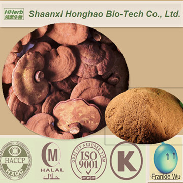 Natural 10%-40% Polysaccharides UV Reishi Extract