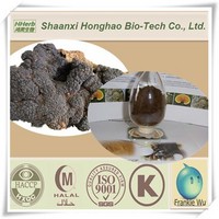 Chaga Mushroom Extract Powder