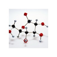 Clarithromycin macrolides