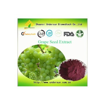 Grape Seed Extract