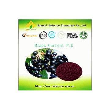 Black Currant Extract