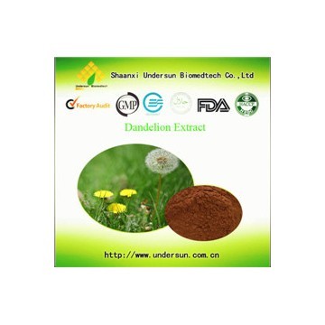 Dandelion Extract