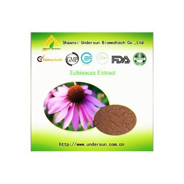 Echinacea extract 