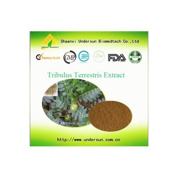 Tribulus Terrestris Extract