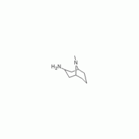 Endo-9-Methyl-9-Azabicyclo[3,3,1]-Nonan-3-Amine