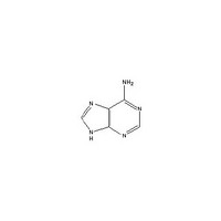 Adenine 