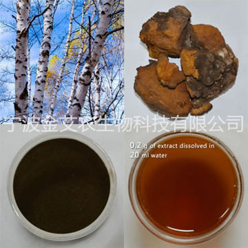 Chaga polysaccharides