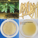 100% Natural Panaxatriol Saponins Rg1+Re 50%HPLC