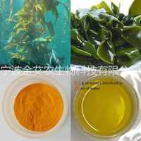 Brown Algae Extract/ Fucoxanthin 10%UV 