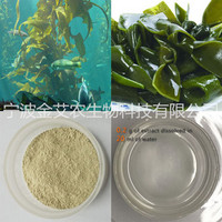 Kelp powder Laminarin