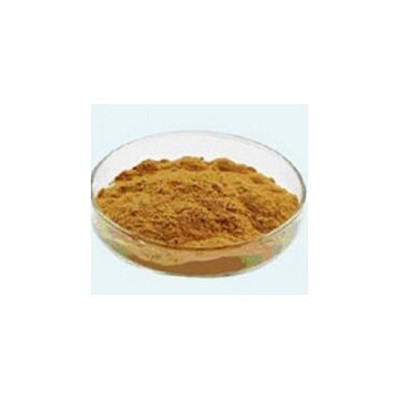 mango juice powder, freeze dried mango powder, dried mango powder