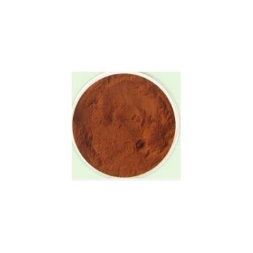spine date seed powder
