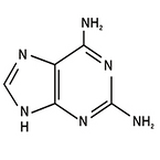 2，6-Diaminopurine