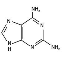 2，6-Diaminopurine