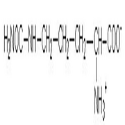 L-Citrulline