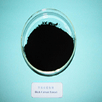 Black Currant Extract