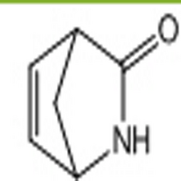 2-Azabicyclo[2.2.1]hept-5-en-3-one