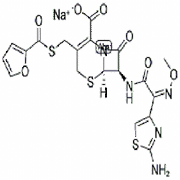 Cefquinome Sulfate 