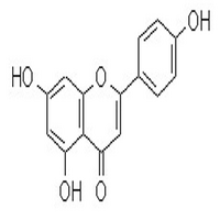 98% Apigenin