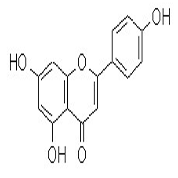 98% Apigenin