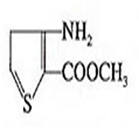 Methyl-3-amino-2-thiophene carboxylate