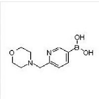 6-(Morpholinomethyl)pyridine-3-boronic Acid