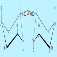 Calcium alginate