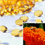 Supercritical Marigold Oleoresin