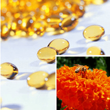 Supercritical Marigold Oleoresin