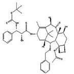 Docetaxel Anhydrou