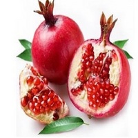 Pomegranate P.E. 