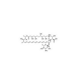 Amphotericin