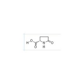 L-Pyroglutamic acid 