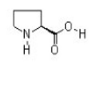  L-Proline 