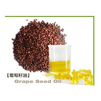  Grape seed Oil