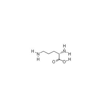  L-Ornithine HCl