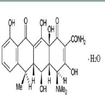 Doxycycline Monohydrate