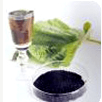 Sodium Iron Chlorophyllin