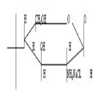Glucosamine Sulfate Sodium Chloride