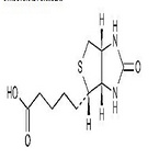 Biotin,D-Biotin,Vitamin H