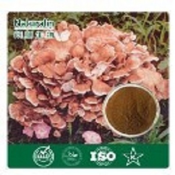 Maitake Mushroom Extract