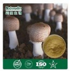 Agaricus Blazei Extract