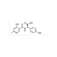 D-a-(6-methyl-4-hydroxy-nicotinicacid mide)-p-hydroxyphenyl acetic